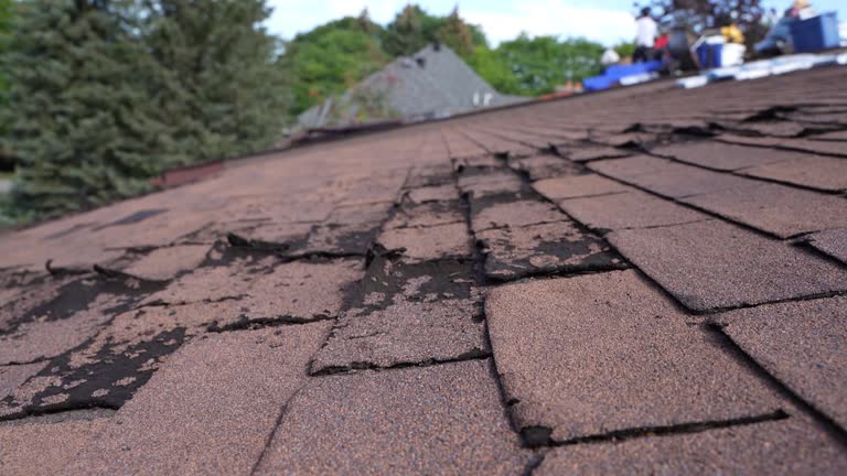 Best Flat Roofing  in Shoreline, WA
