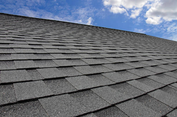 Best Roof Coating and Sealing  in Shoreline, WA