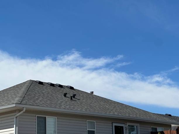 Best Chimney Flashing Repair  in Shoreline, WA